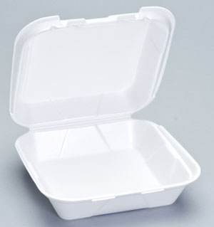 Medium Hinged Foam Container (1CMPT)