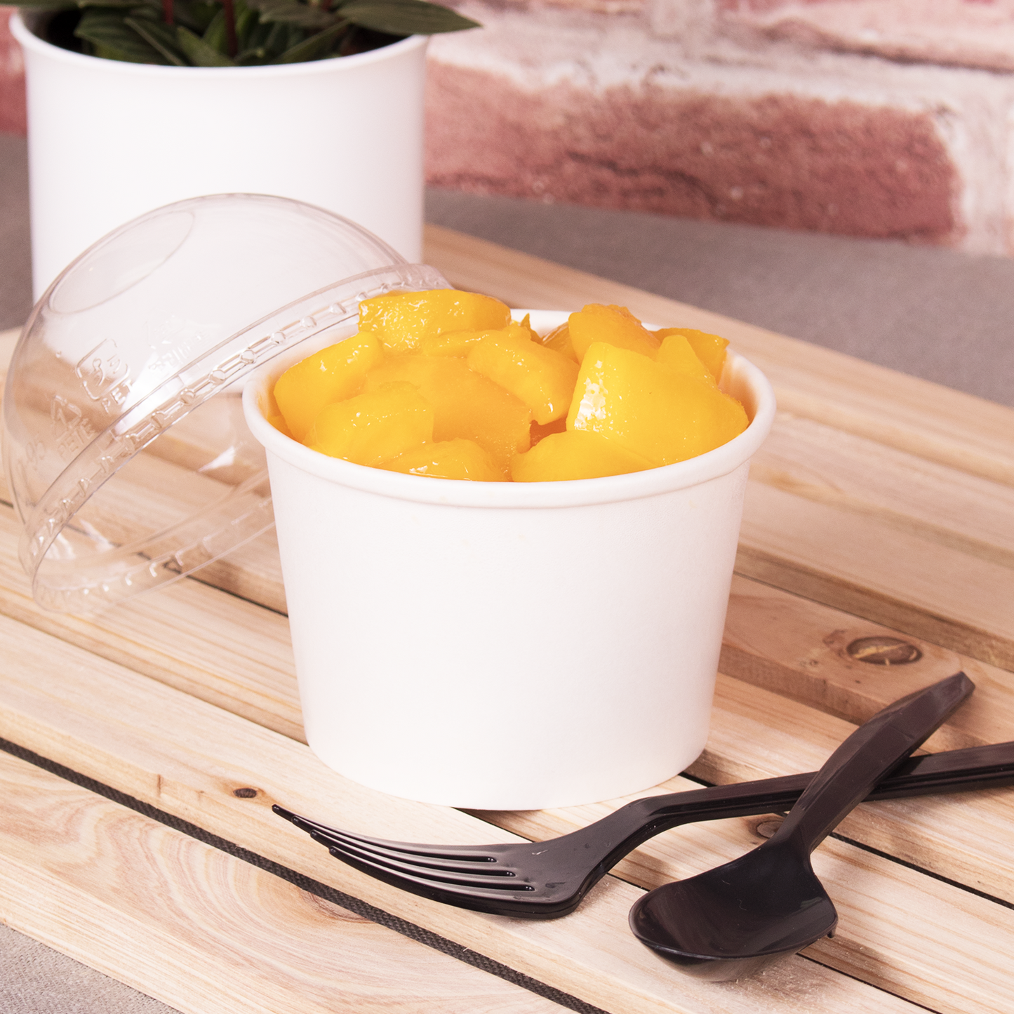 8oz Food Container White