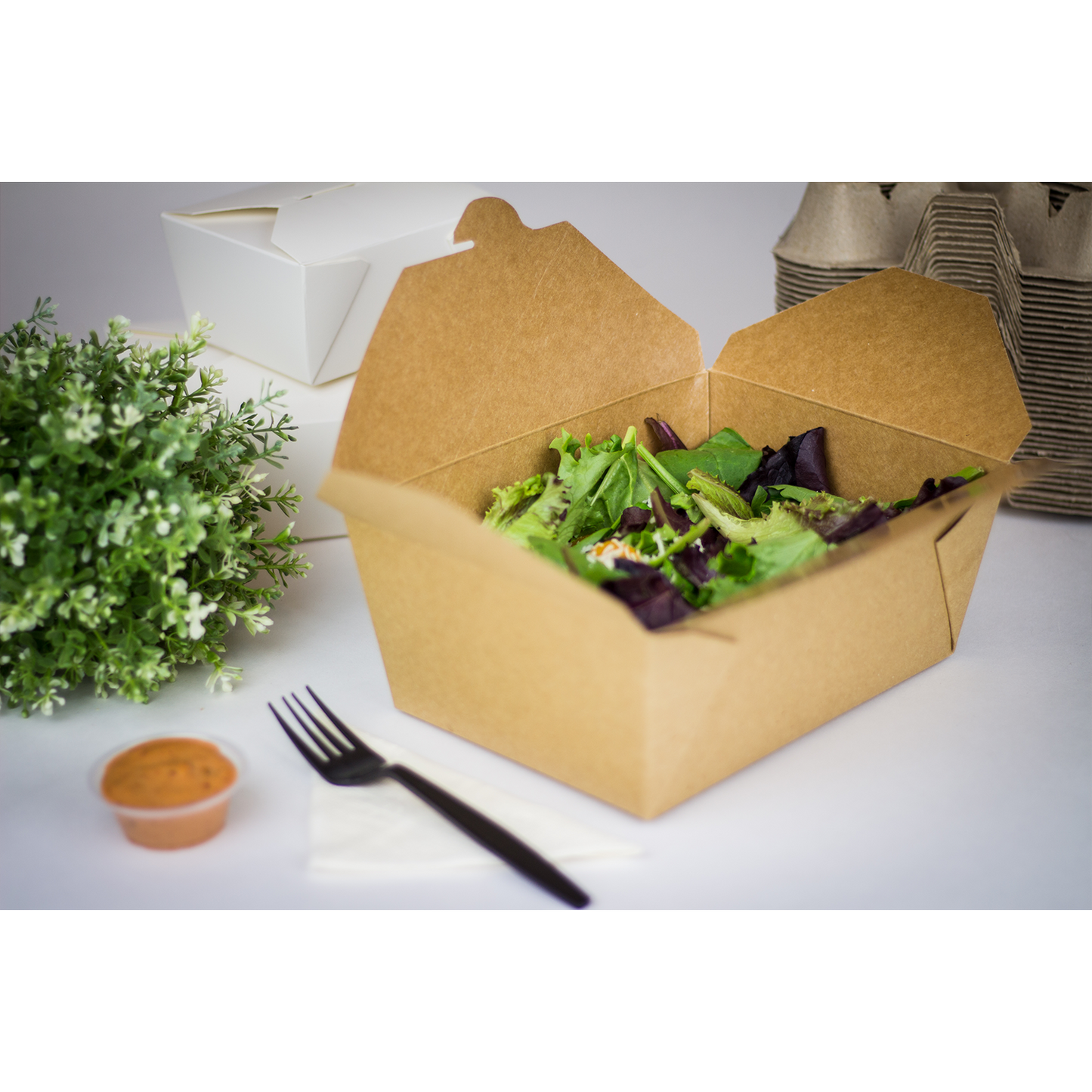#4 Kraft Fold-To-Go Box 110oz 160ct