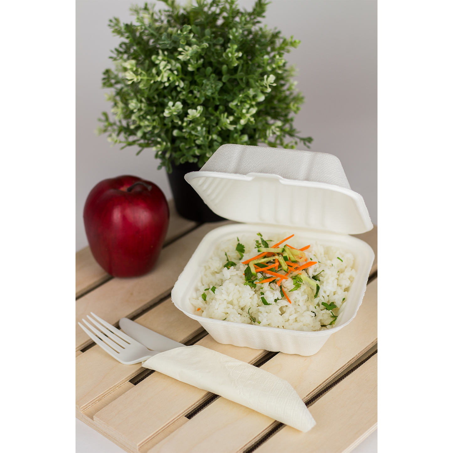 6"x6" Bagasse Hinged Container