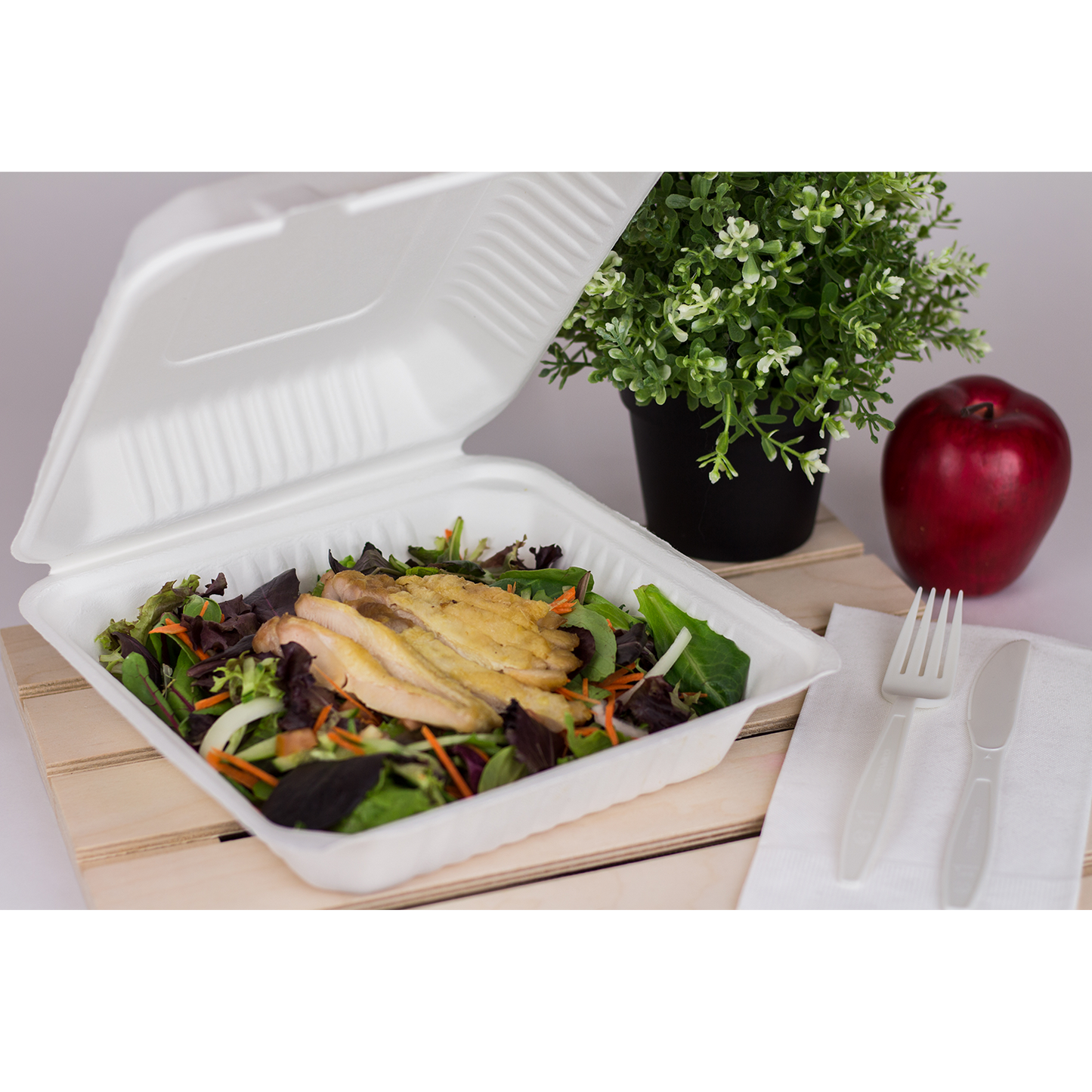 9"x9" Bagasse Hinged Container