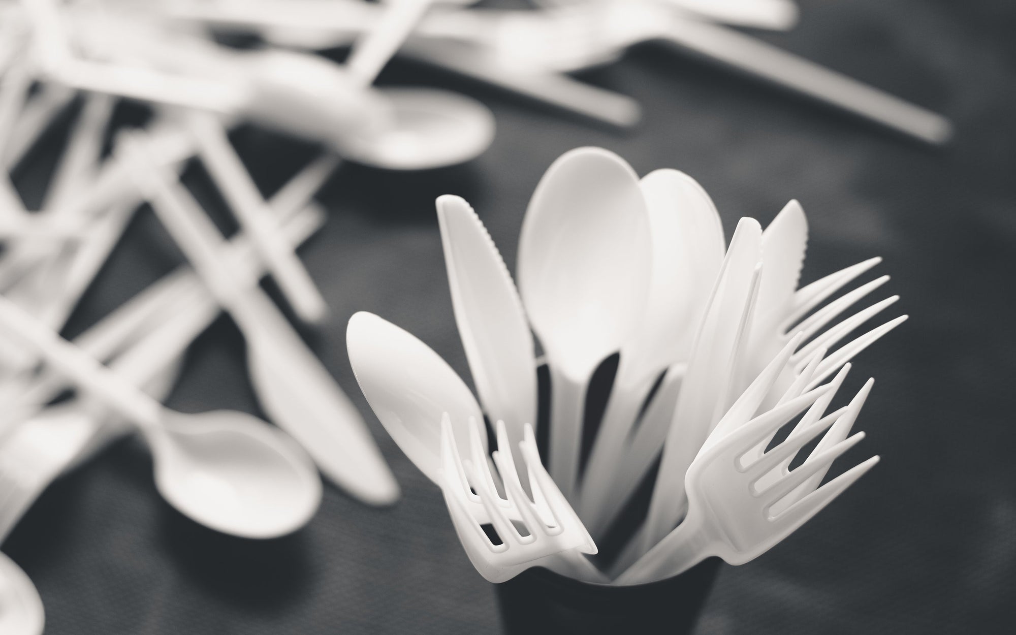 Durable Utensils for Every Meal