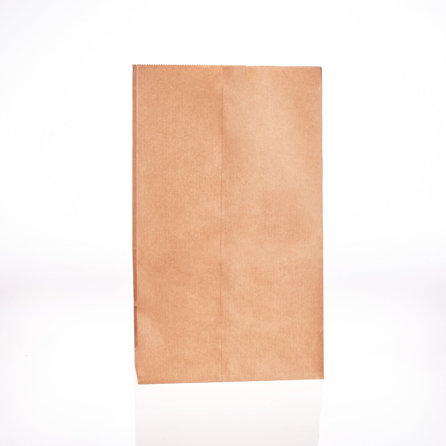 Brown Paper Bag 9.75x6.25x16.375 (500/cs) 81186